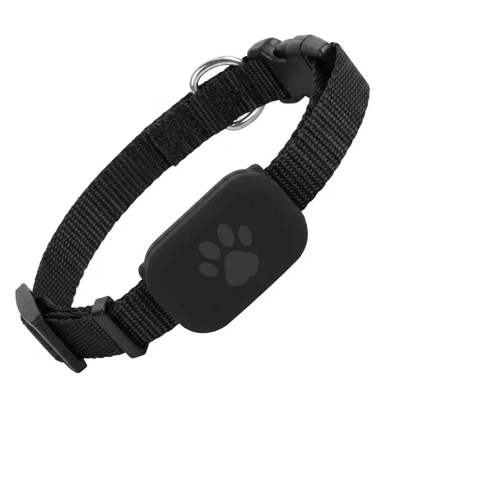 Smart Pet Tracker Collar
